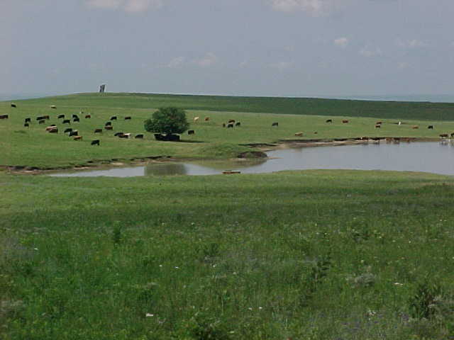 prairie pond
