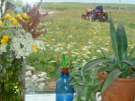 mowing, from our kitchen window