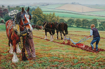 Horses ploughing