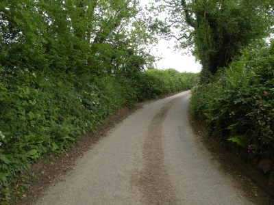 Lane near Patsford
