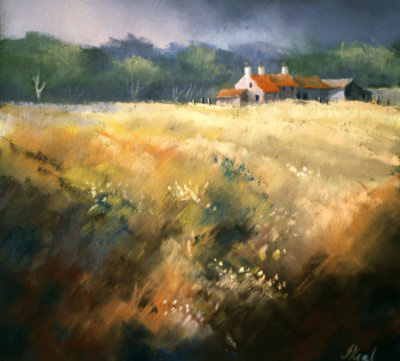 Meadow by Jenny Keal