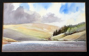 David Bellamy, painting on the day