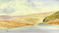 Mynydd y Gwair by Rosemary Hale